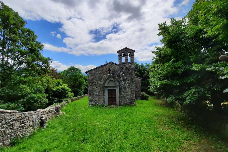 via vandelli modenatur 009