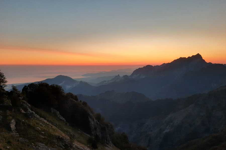 via vandelli modenatur 010